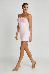 Valentine's Day roses Mini Dress - Blush Pink